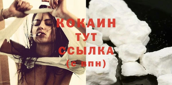 стаф Балахна