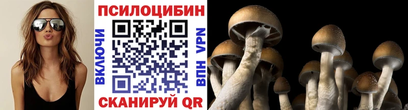 Галлюциногенные грибы GOLDEN TEACHER  сколько стоит  Плавск 